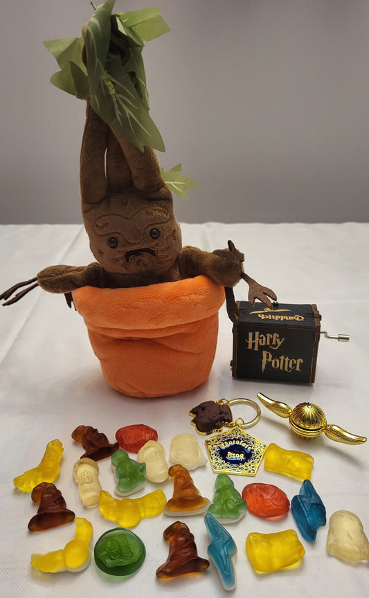 sac cadeaux et bonbons  harry potter